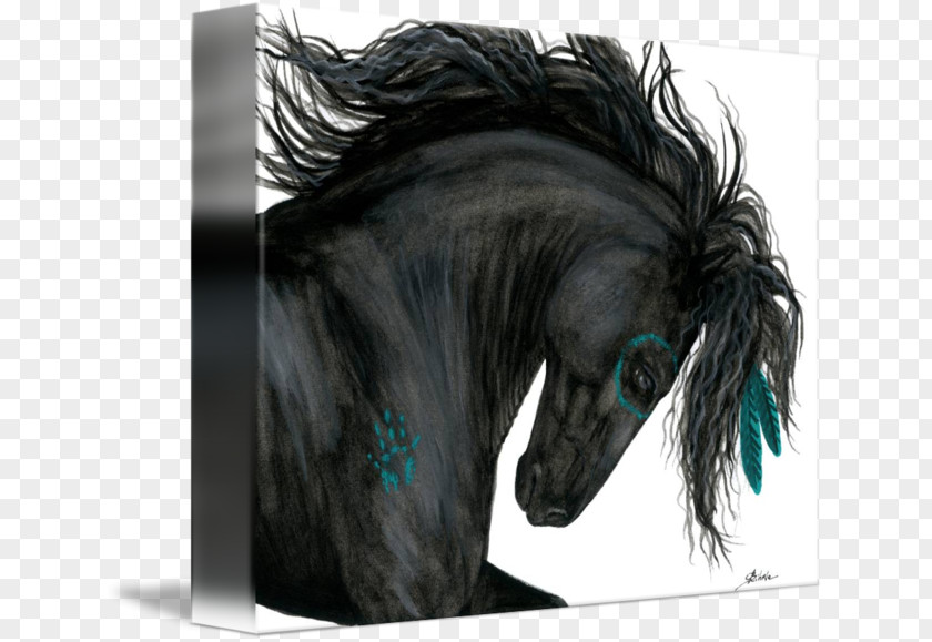 Mustang Friesian Horse American Paint Mane Stallion PNG