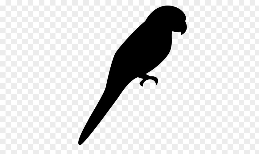 Tail Beak Bird Silhouette PNG