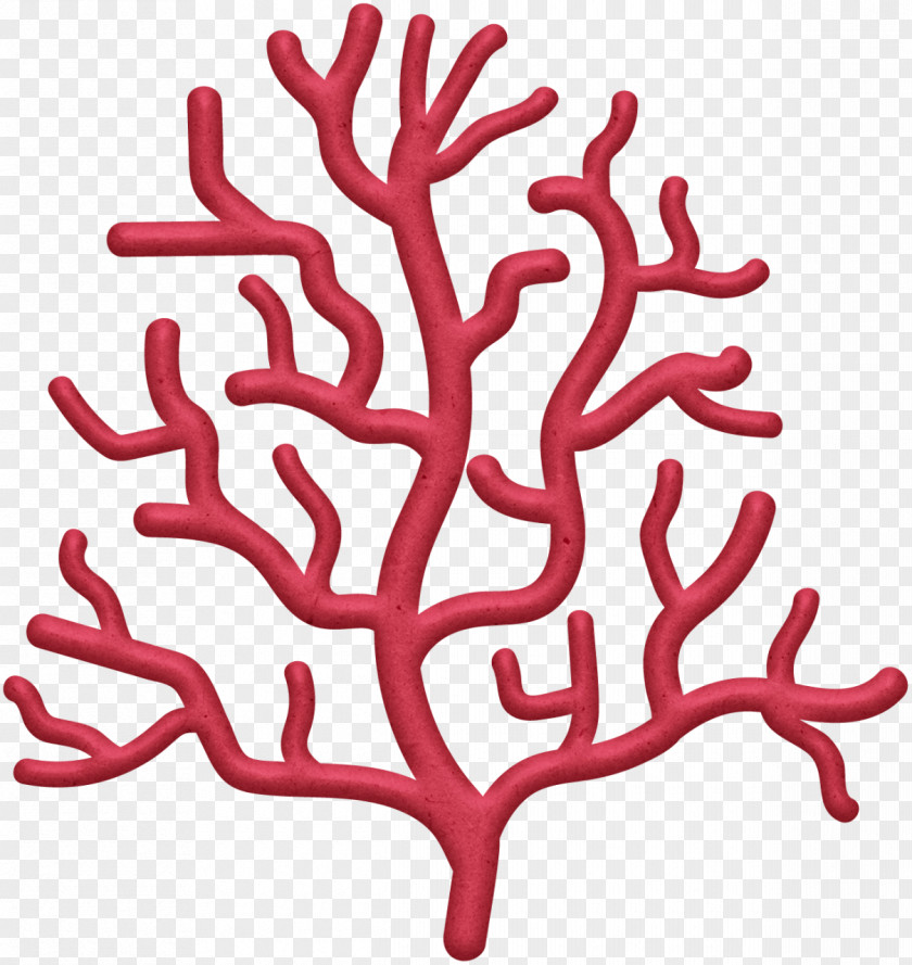Cartoon Coral Red Clip Art Reef Image PNG