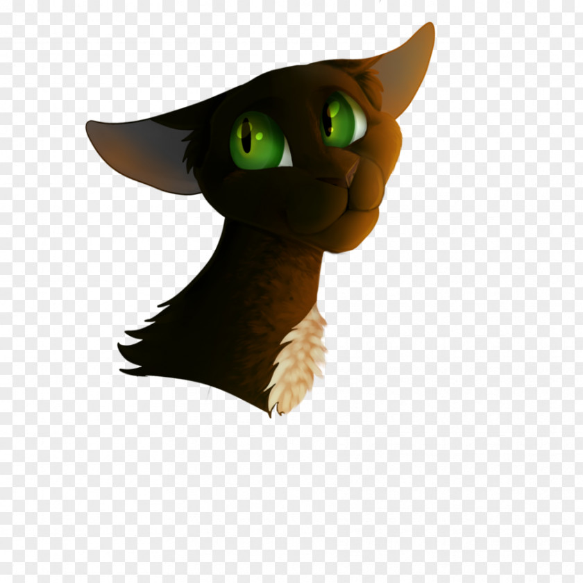 Cat Whiskers Cartoon PNG