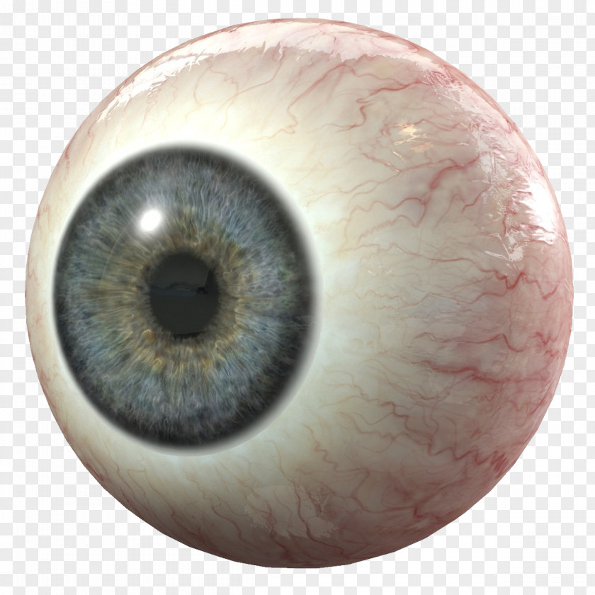 Eye Human 3D Modeling Computer Graphics Iris PNG