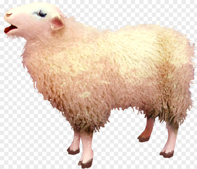 Goat Free Download Sheep Clip Art PNG