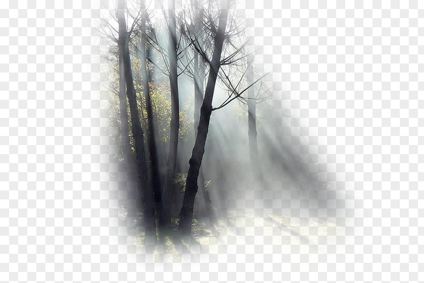 Mist Fog Desktop Wallpaper White Trident PNG