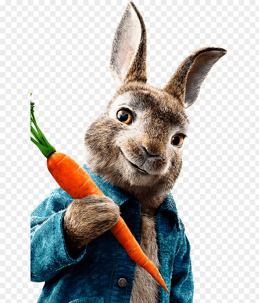 Peter Rabbit The Tale Of Mr. McGregor Meet Cinema Film PNG