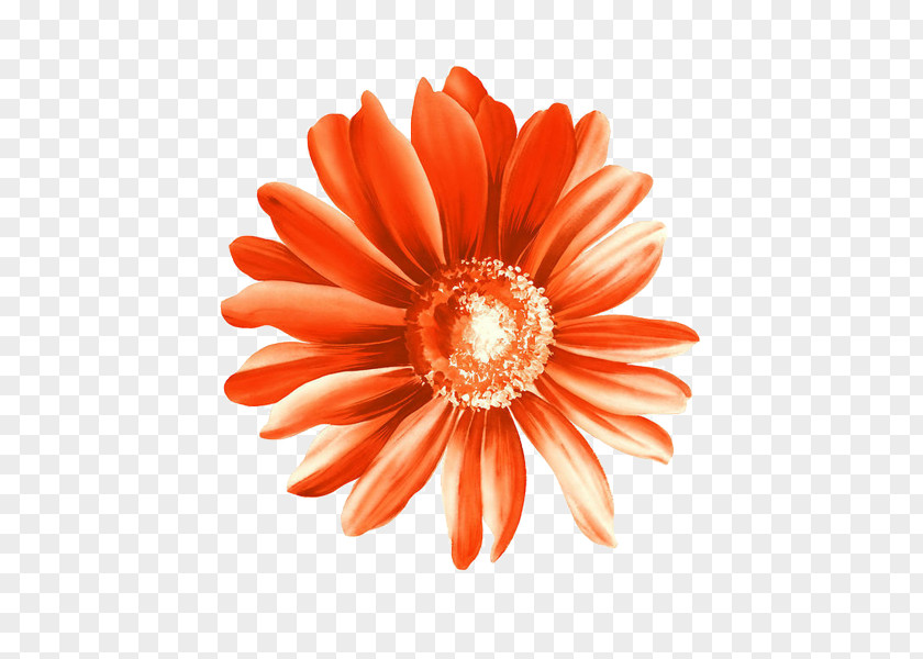 Red Sunflower Material Flower Drawing PNG