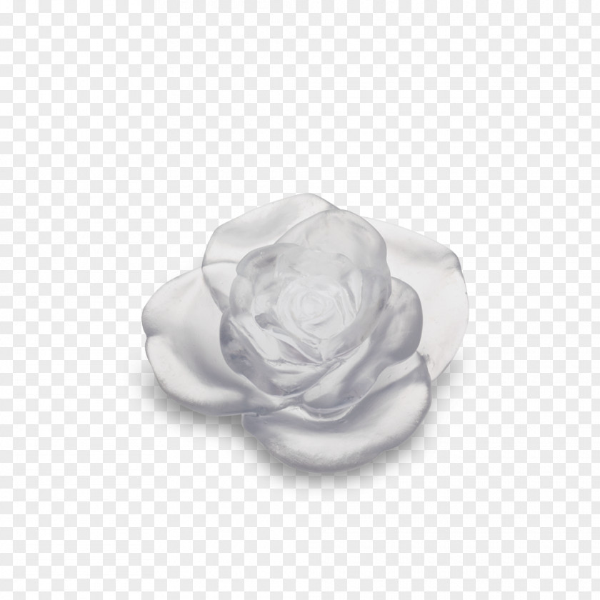 Rose White Flower Green Red PNG