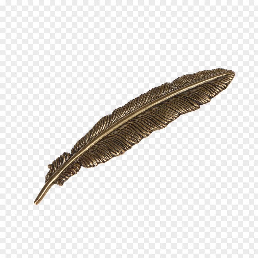 Feather Hatpin Plume PNG