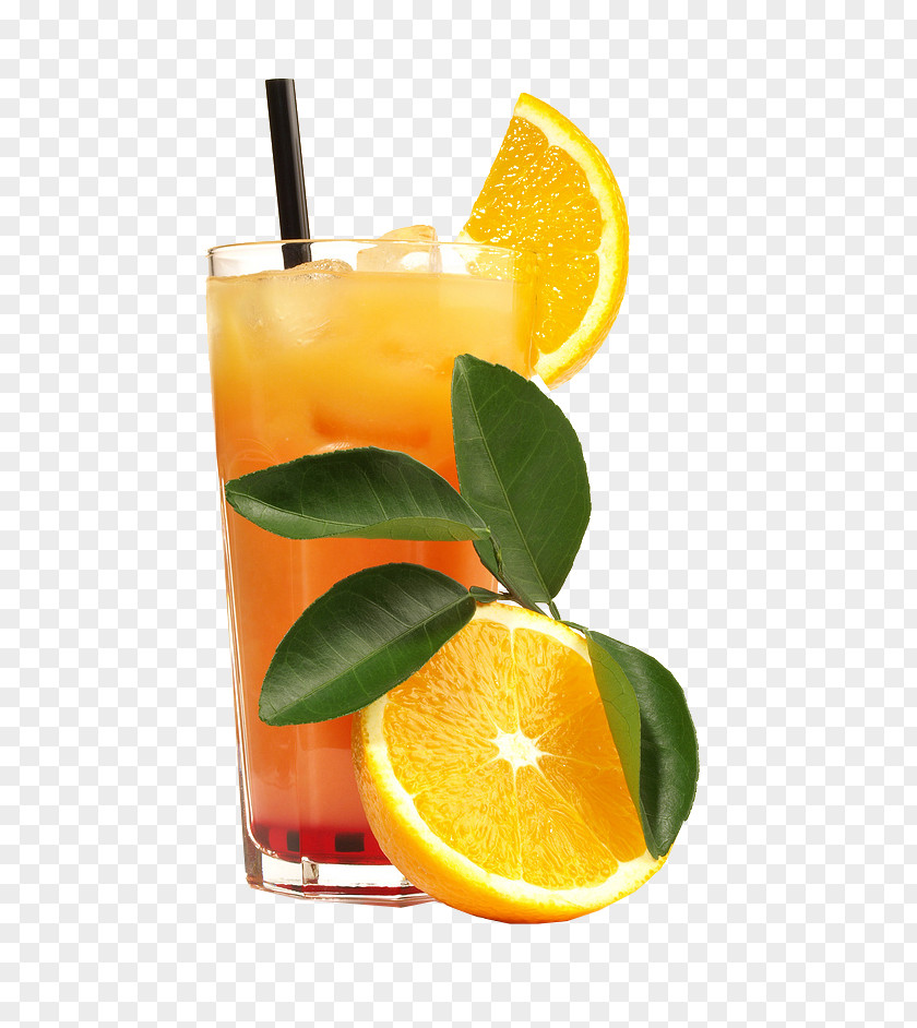 Freshly Squeezed Orange Juice Tequila Sunrise Cocktail Soft Drink Margarita PNG