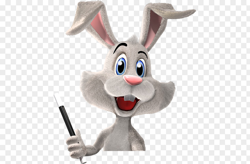 Rabbit Magic Domestic Easter Bunny Hare PNG