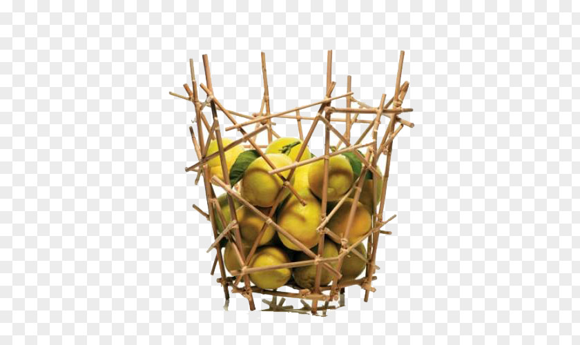 Trees Spliced ​​with Lemon Alessi Bamboo Campana Brothers Basket PNG