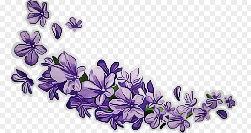 Violet Family Flowering Plant Lavender PNG