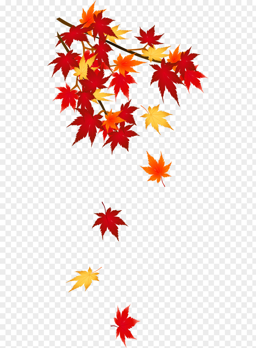 Autumn Posters Leaf Color Clip Art PNG