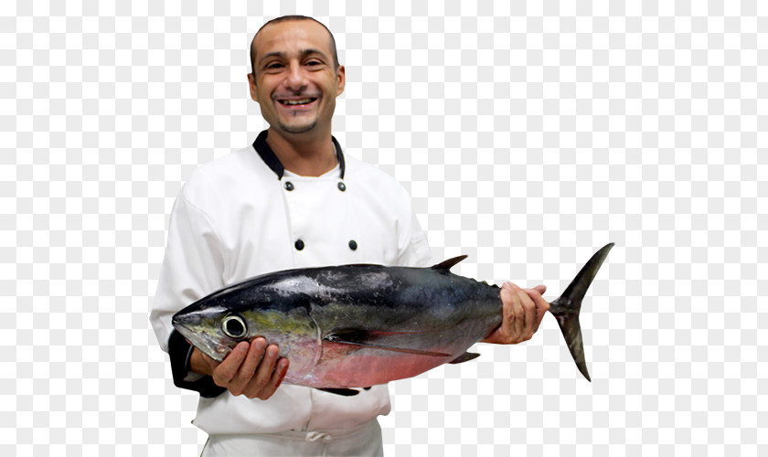 Fishing Tuna Mackerel Fish Products 09777 PNG