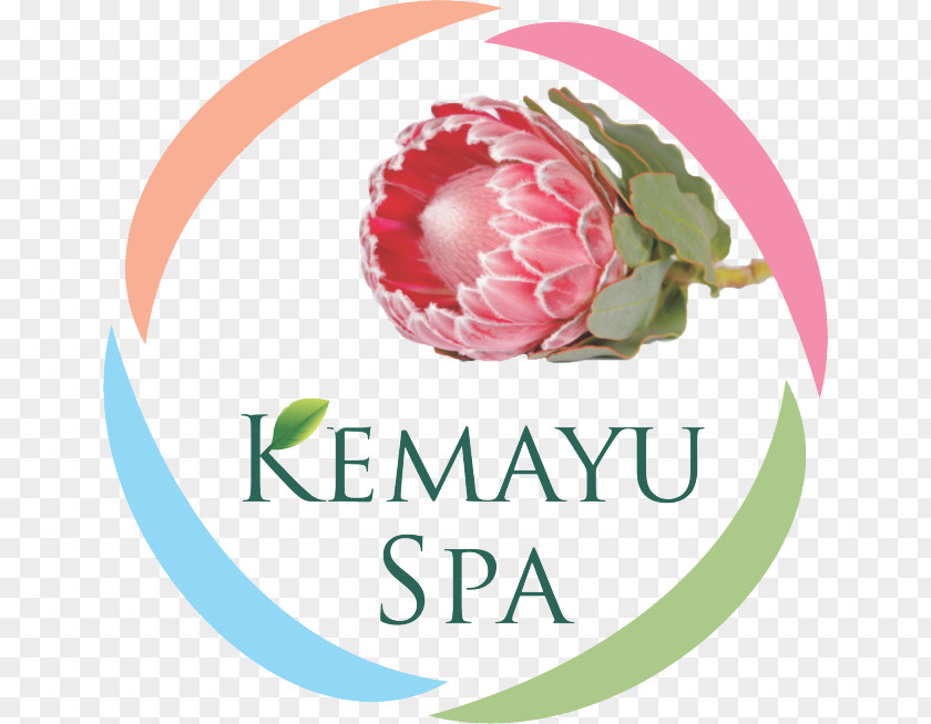 Health Spa Kemayu Day Beauty Parlour Hillcrest, KwaZulu-Natal PNG