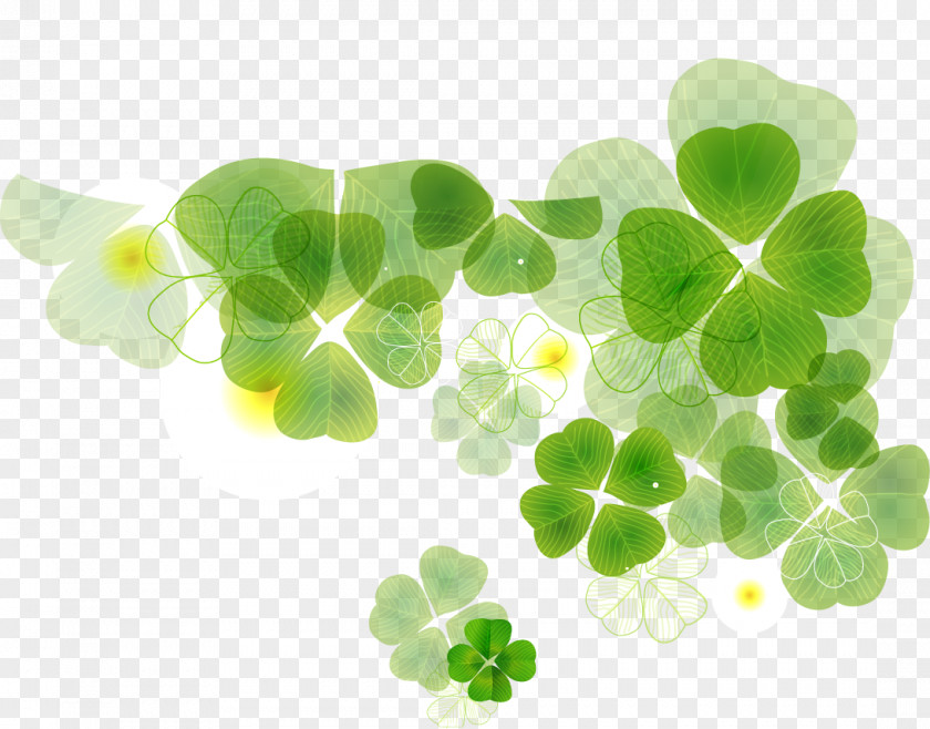 Romantic Clover Four-leaf Florida State Road 453 Illustration PNG