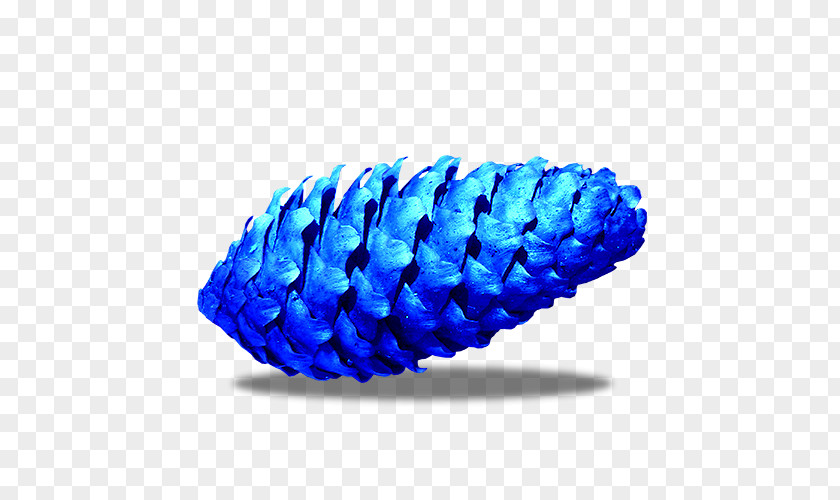 Blue Ice Creative Christmas Pine Nuts Nut PNG