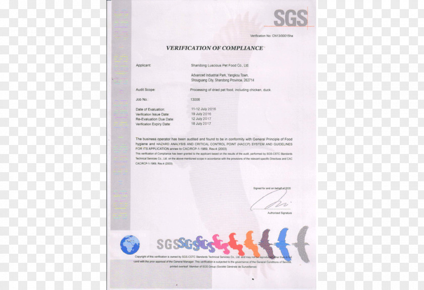 Business ISO 9000 Quality Management System Certification 14000 PNG