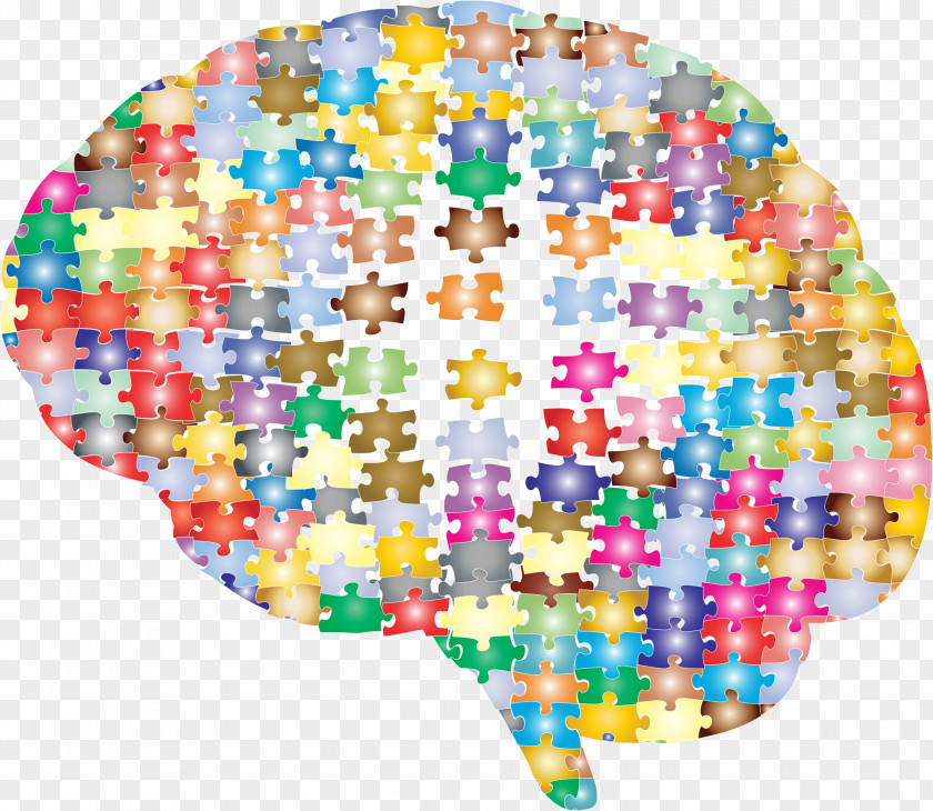 Connect Jigsaw Puzzles Brain Mapping Cerebral Cortex Human PNG