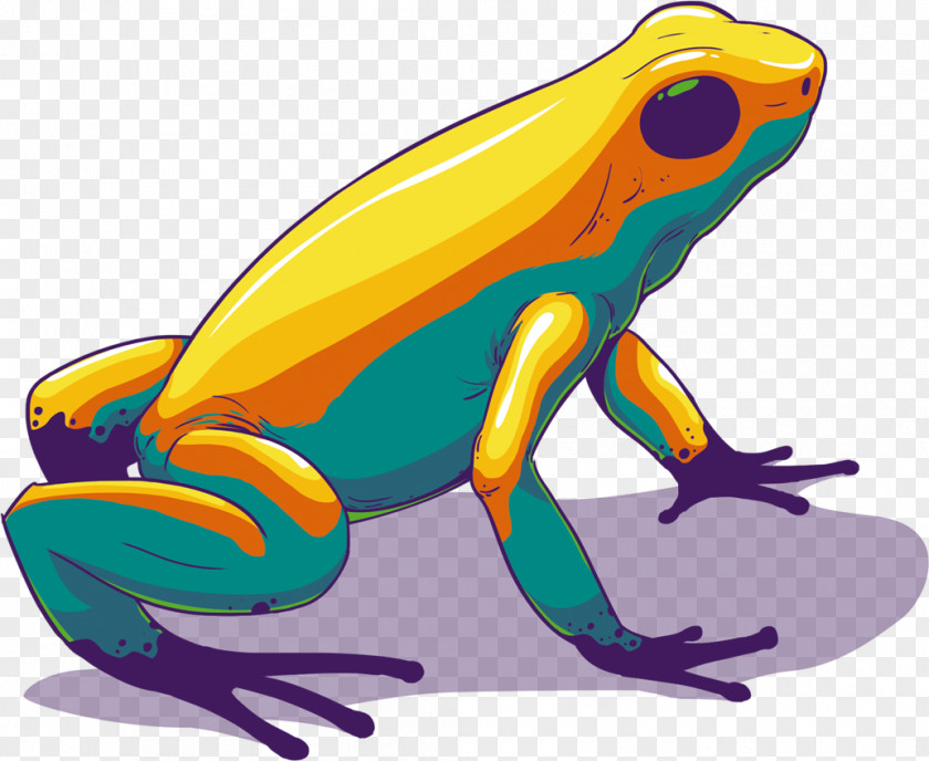 Frog Toad True Tree PNG