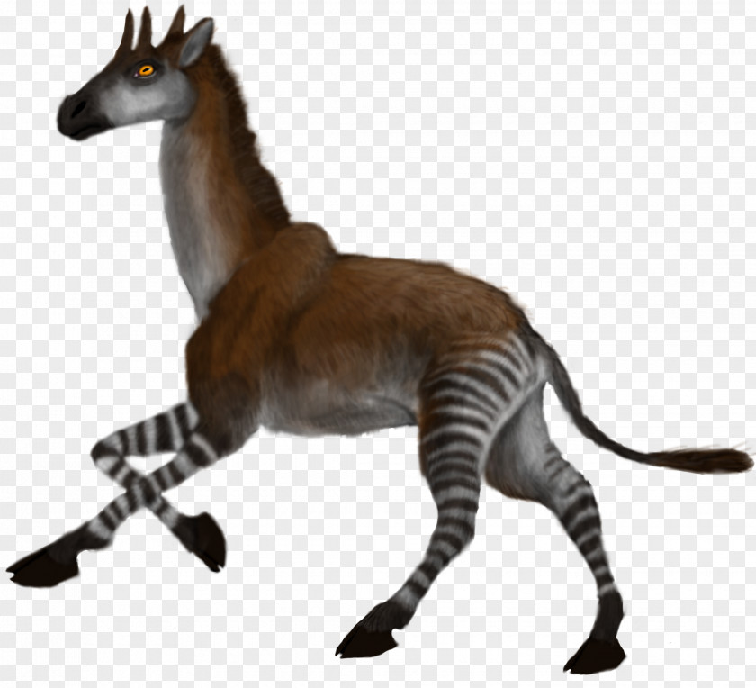 Giraffe Okapi Palaeotragus Helladotherium Mammal PNG