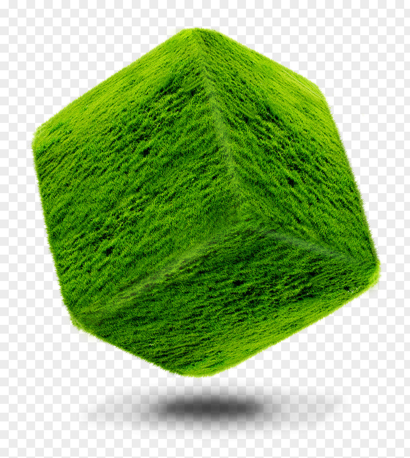 Grass Cube Square Green PNG