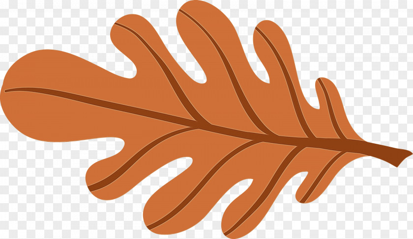Hand Model Leaf Line Orange S.a. PNG