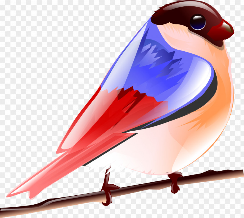 Birds Hummingbird Parrot Clip Art PNG