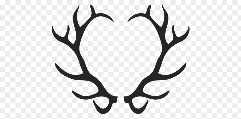 Deer Elk White-tailed Moose Antler PNG