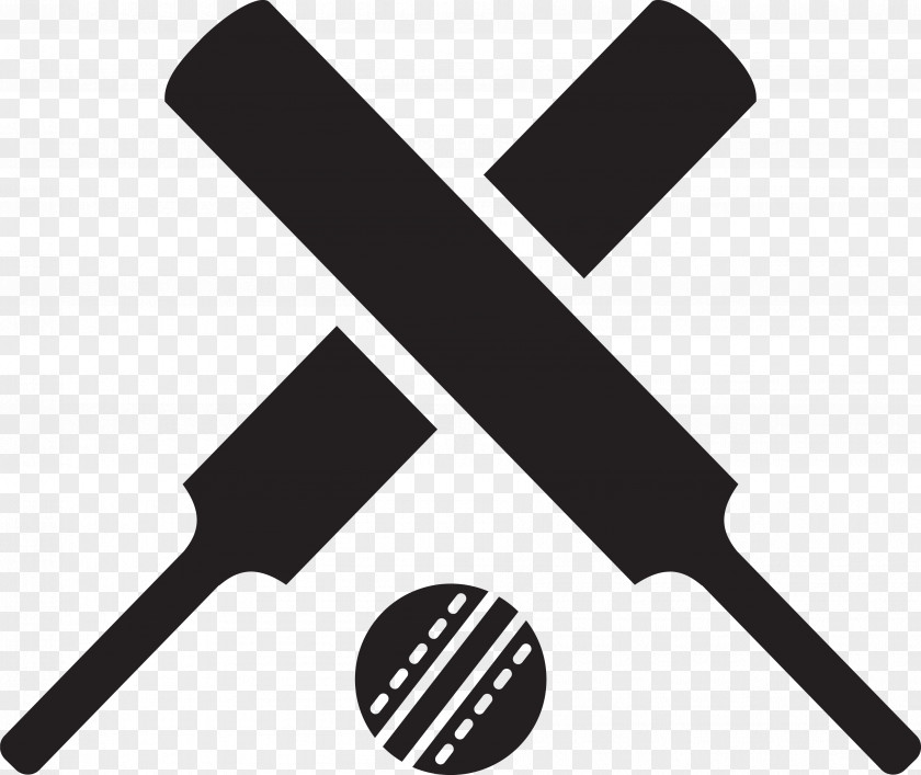 Double Ninth Festival Poster Cricket Bats Batting Baseball PNG