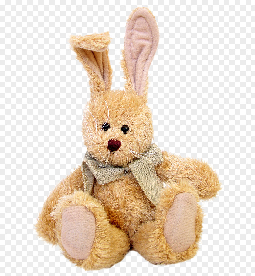 Ear Baby Toys Teddy Bear PNG