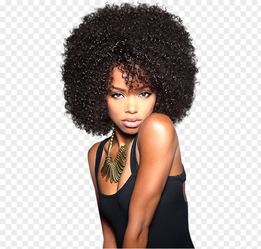 Hair Lace Wig Artificial Integrations Afro Hairstyle PNG