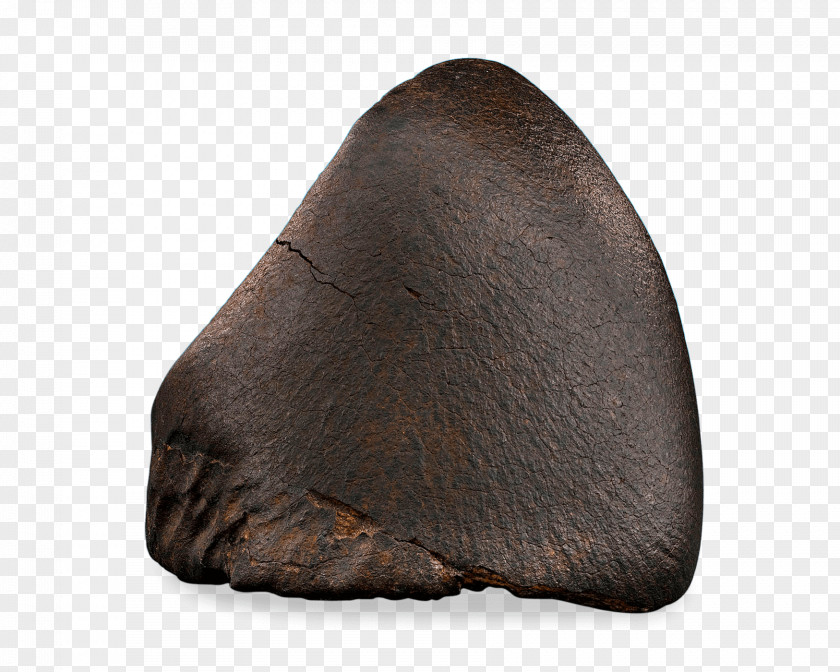 Nosecone Snout Fur PNG