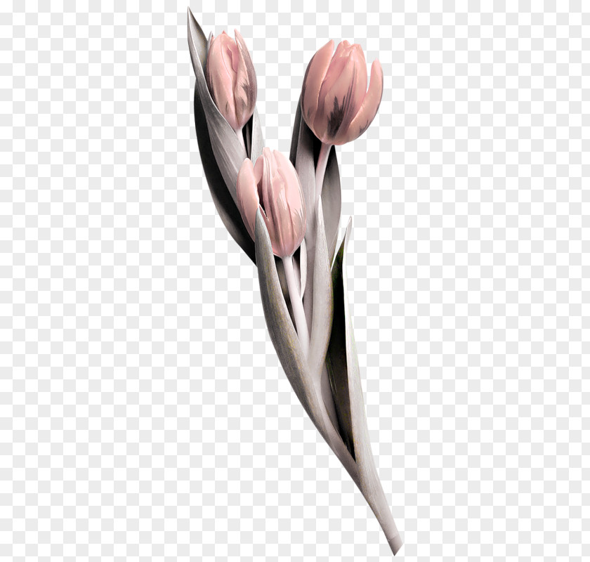 Tattoo Blog Flower PNG