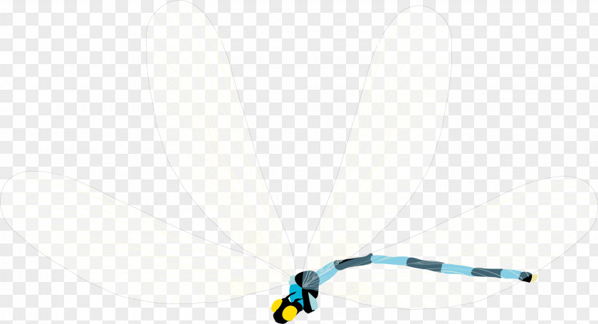 Technology Line Turquoise PNG