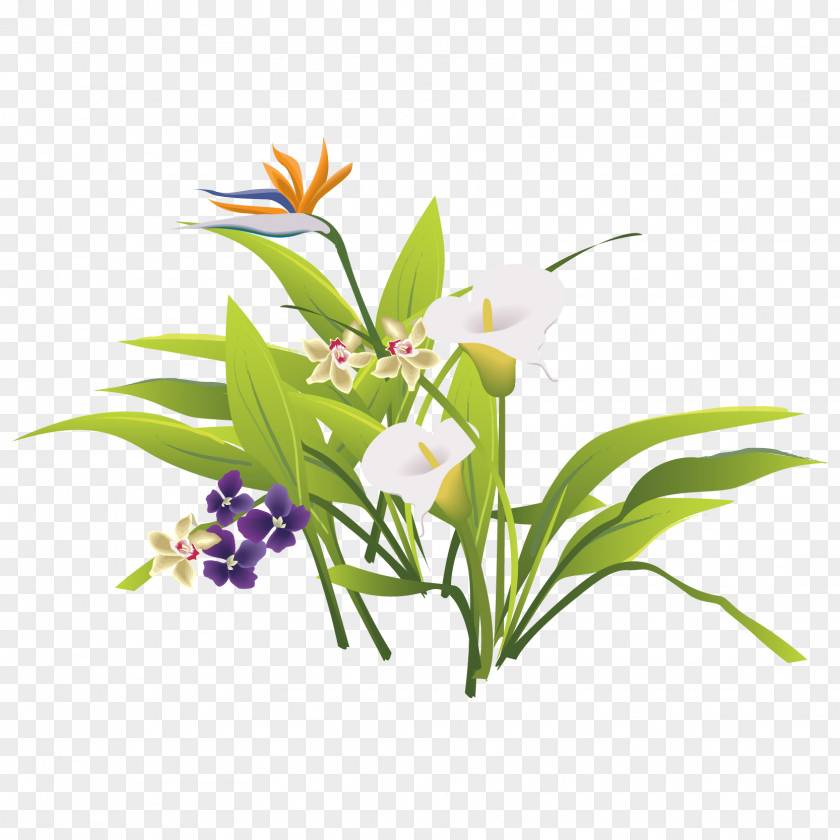 Vector Fresh Green Leaves Of Grass Floral Design Flower Bouquet PNG