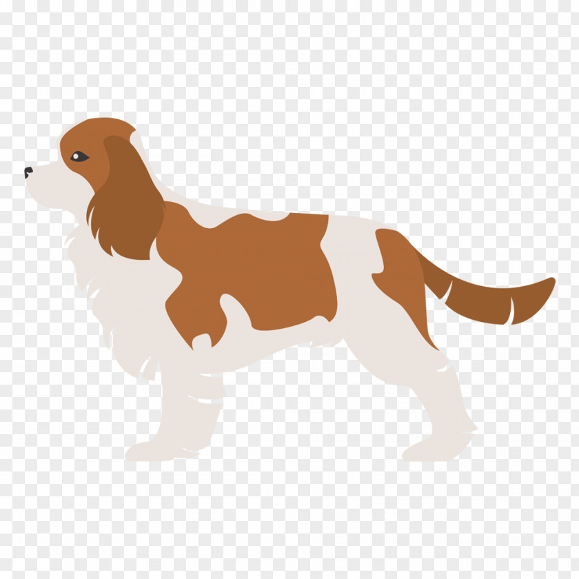 Cavalier King Charles Spaniel Affenpinscher Pug Poodle Maltese Dog PNG