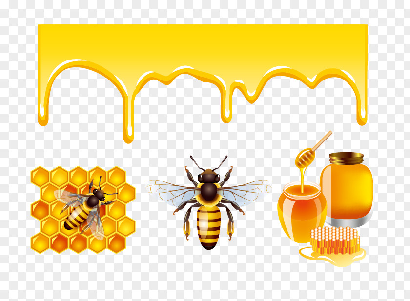 Honey And Bees Design Bee Clip Art PNG