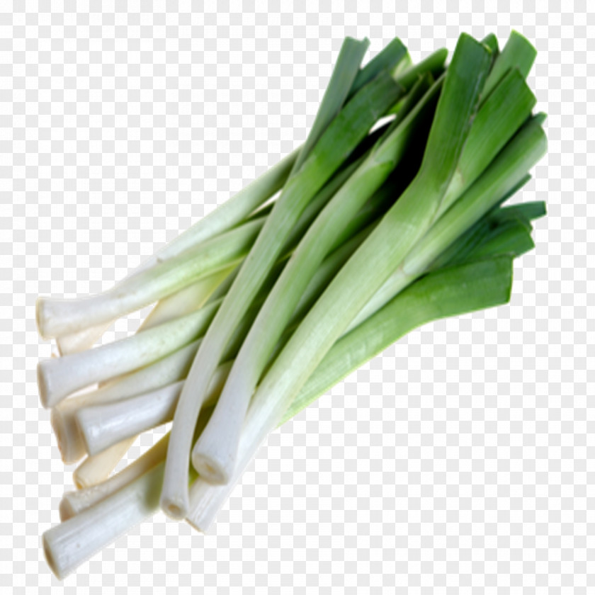 Leek PNG clipart PNG