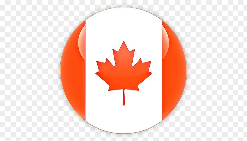 Logo Maple Canada Leaf PNG