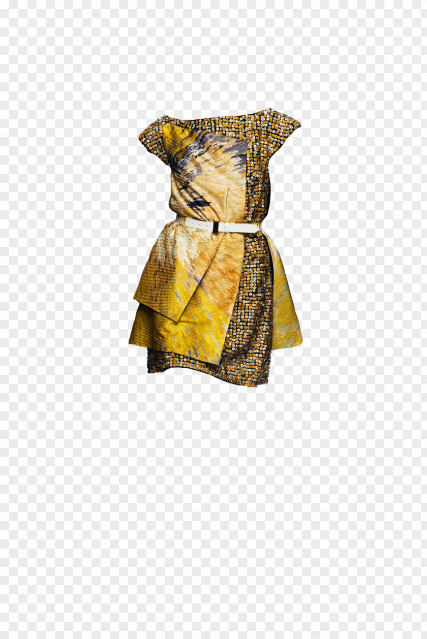 Dress Shoulder PNG