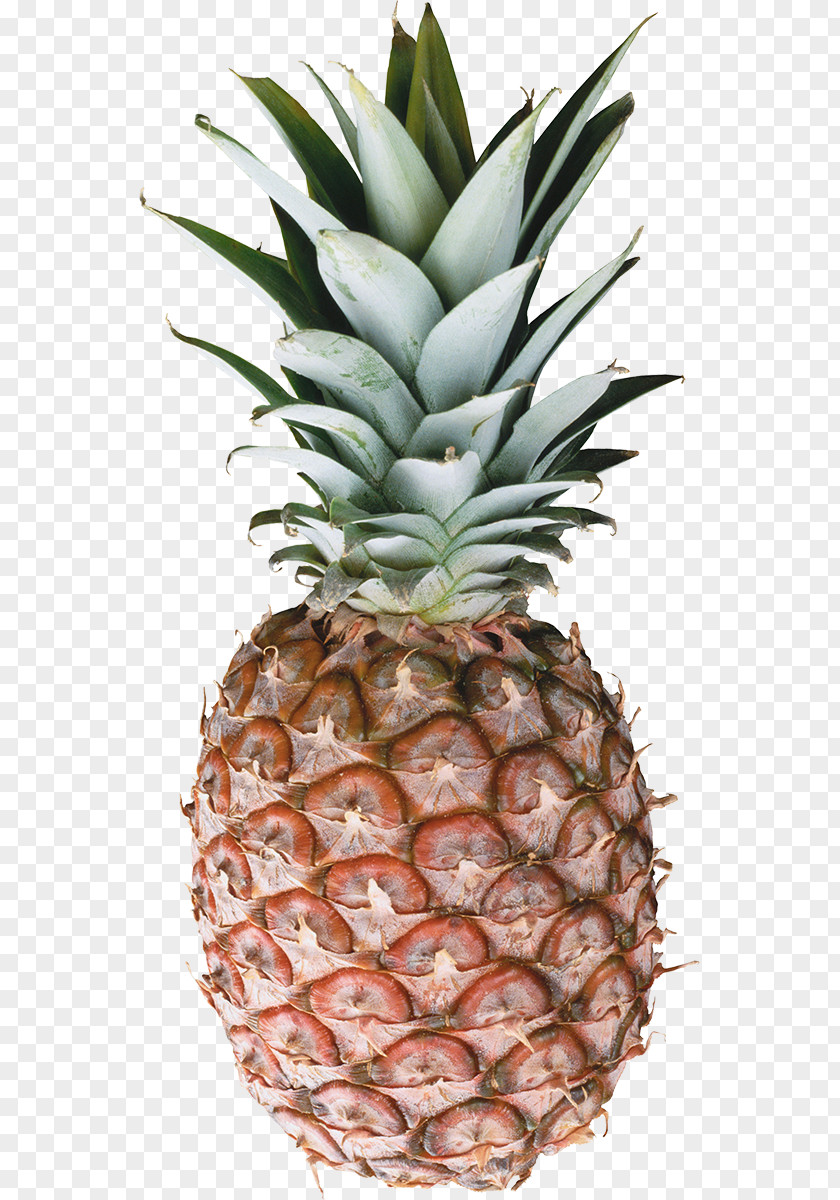 Pineapple Clip Art PNG