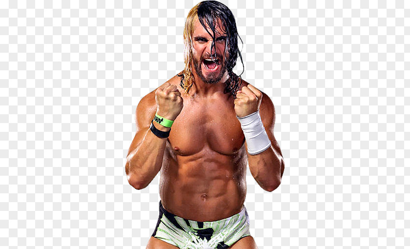 Seth Rollins Money In The Bank Ladder Match WWE Cruiserweight Championship Professional Wrestling PNG in the ladder match wrestling championship, seth rollins clipart PNG
