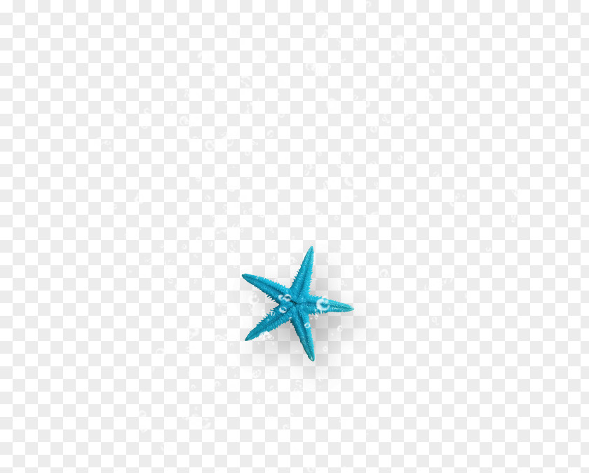 Starfish Turquoise Body Jewellery PNG