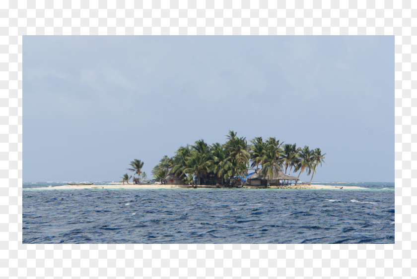 Tree Islet Plant Community Waterway Inlet Water Resources PNG