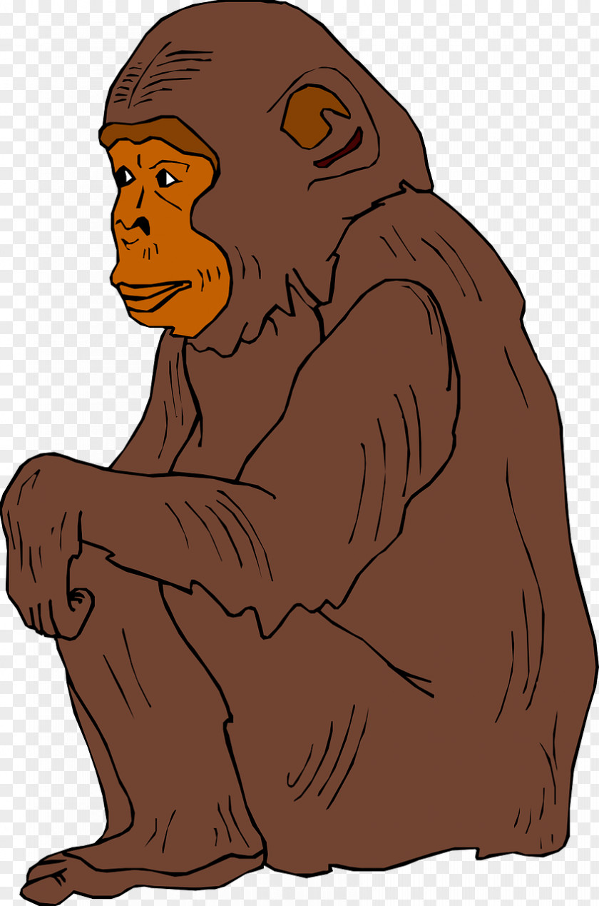 Brown Orangutan Chimpanzee Ape Clip Art PNG