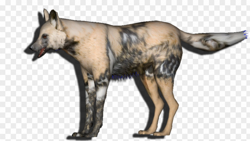 Dog Fauna Snout Wildlife Gray Wolf PNG