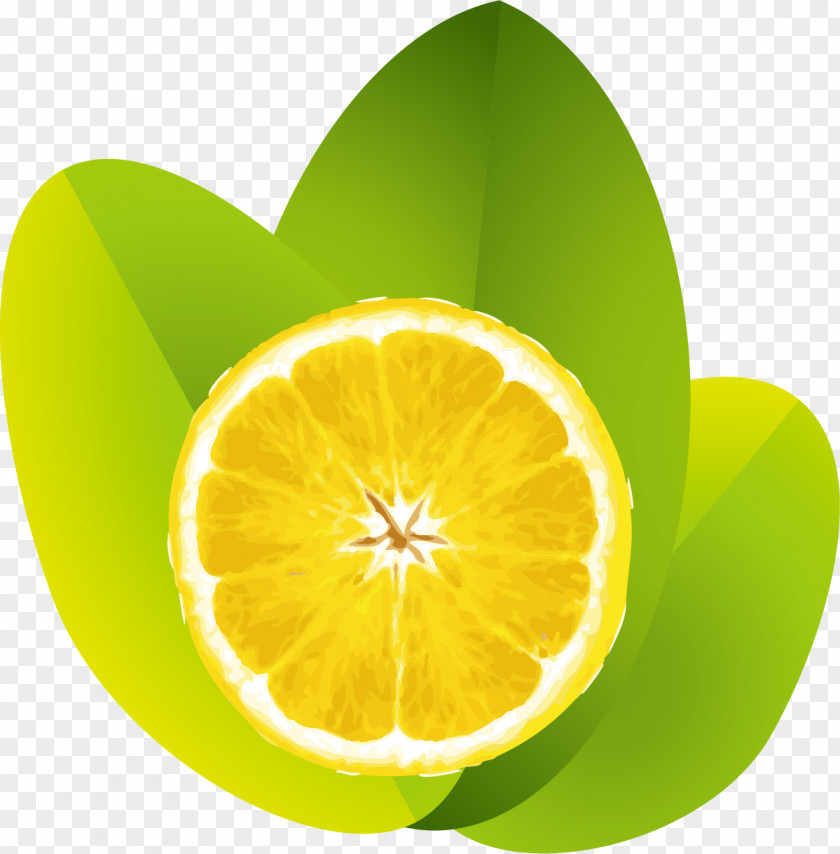 Fresh Lemon Juice Lime PNG