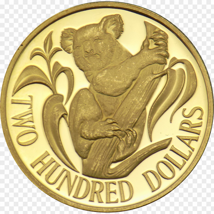 Gold Coins Floating Material President William McKinley High School Rhode Island Of Design National Secondary PNG