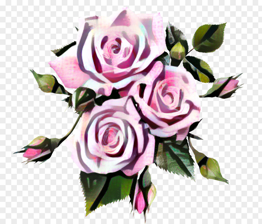 Rose Pink Image Flower PNG