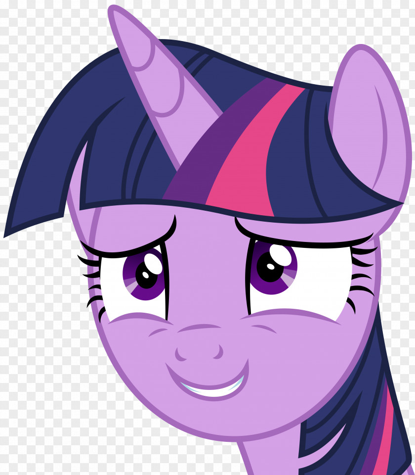 Twilight Sparkle Pinkie Pie Pony Rainbow Dash Winged Unicorn PNG